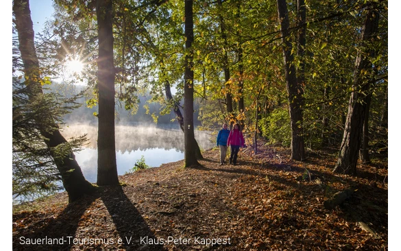 Zwei Personen spazieren im Herbst am nebligen Ufer des Möhnesees zwischen Bäumen.