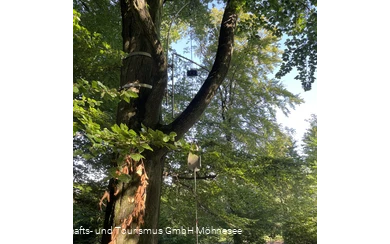 Baumharfe Klangwald Möhnesee
