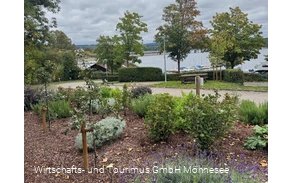 Kräutergarten klein.png