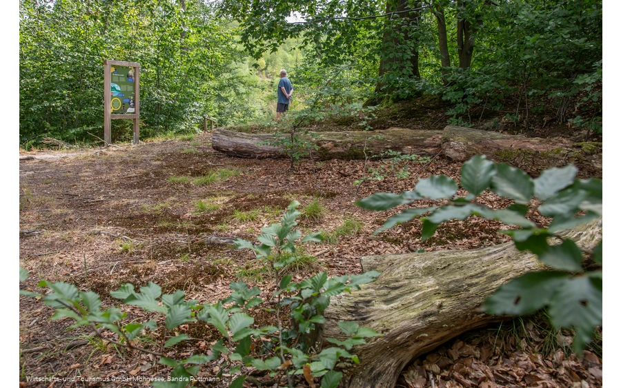 Tafel Wald Erlebnispfad Möhnesee-Südufer