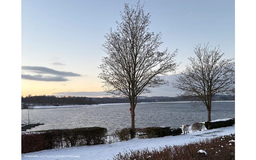 Womo Delecke Winter 01 klein.png