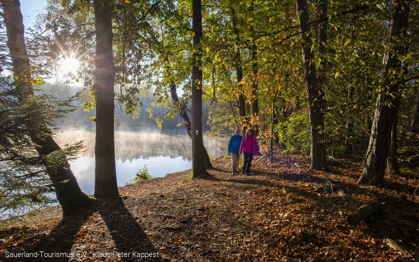 Zwei Personen spazieren im Herbst am nebligen Ufer des Möhnesees zwischen Bäumen.