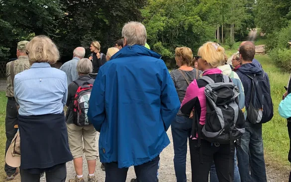 Gruppe im Wald