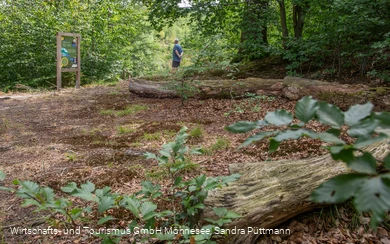 Tafel Wald Erlebnispfad Möhnesee-Südufer