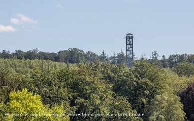 Möhnesee-Turm im Wald