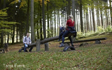 Familie mit Kind und Hund nutzt eine Baumstamm-Wippe im Wald