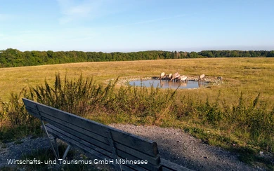 Naturschutzgebiet Kleiberg