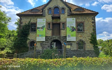 Liz (c) Liz Möhnesee.jpg