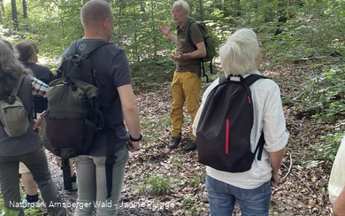 Naturparkführung im Arnsberger Wald