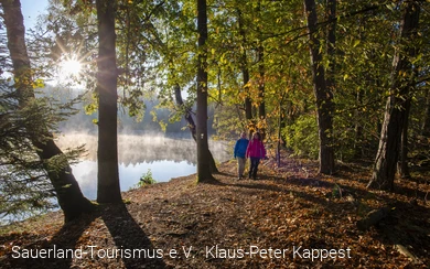 Zwei Personen spazieren im Herbst am nebligen Ufer des Möhnesees zwischen Bäumen.