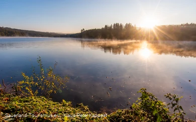 Morgennebel_HevearmMöhnesee(c)Sauerland-Tourismus e.V.  Klaus-Peter Kappest klein.png