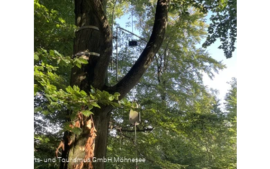 Baumharfe Klangwald Möhnesee