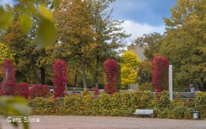 20231015_Kattenturm im Herbst.jpg