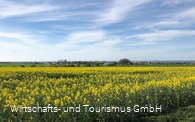 Ein Ausblick auf die Rapsfelder in der Region Möhnesee