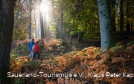 Zwei Wanderer unterwegs auf der Sauerland-Waldroute