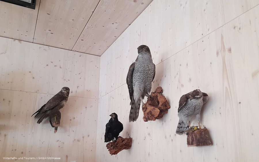 Wildparkhaus Wildpark Völlinghausen