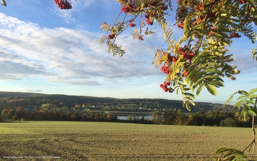 Feld Herbst Möhnesee
