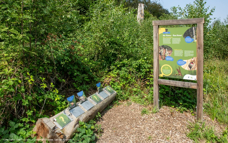 Tafel Totholz Erlebnispfad Möhnesee-Südufer