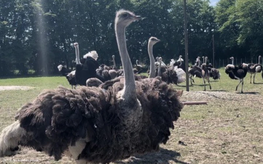 Gutes Büdchen 8.jpg