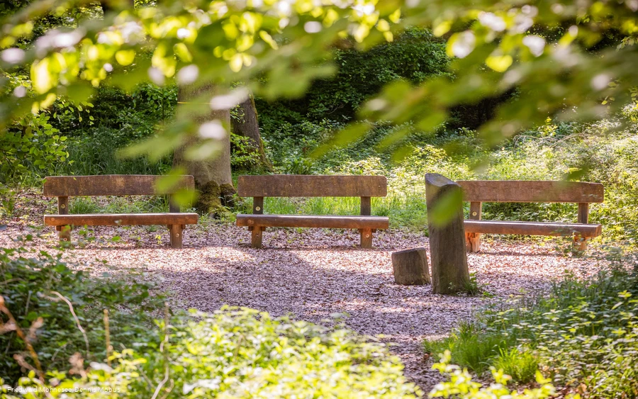 FriedWald Möhnesee_Andachtsplatz_Dennis Möbus.jpg