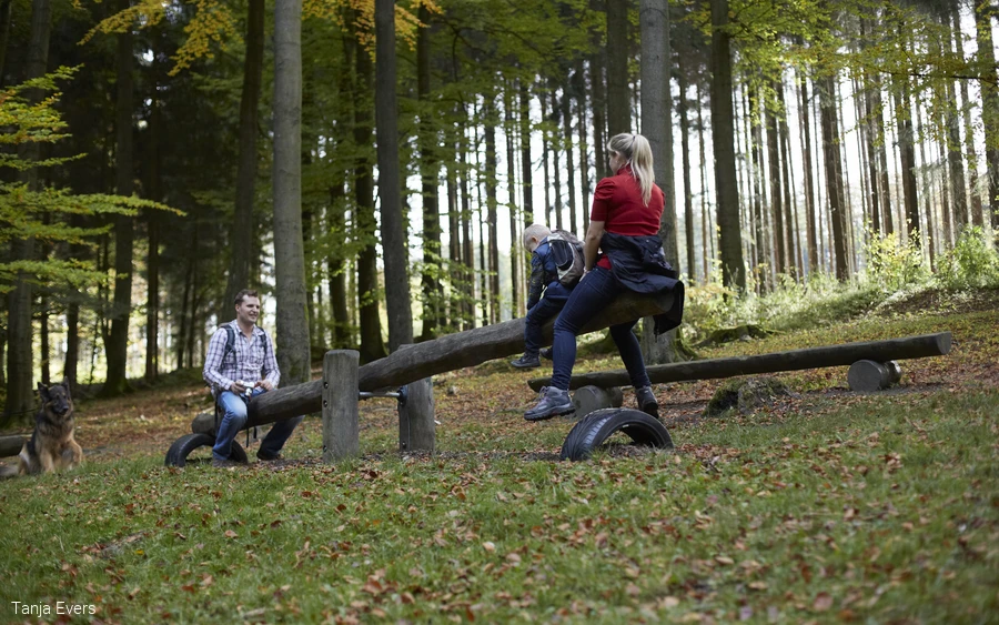 Familie mit Kind und Hund nutzt eine Baumstamm-Wippe im Wald