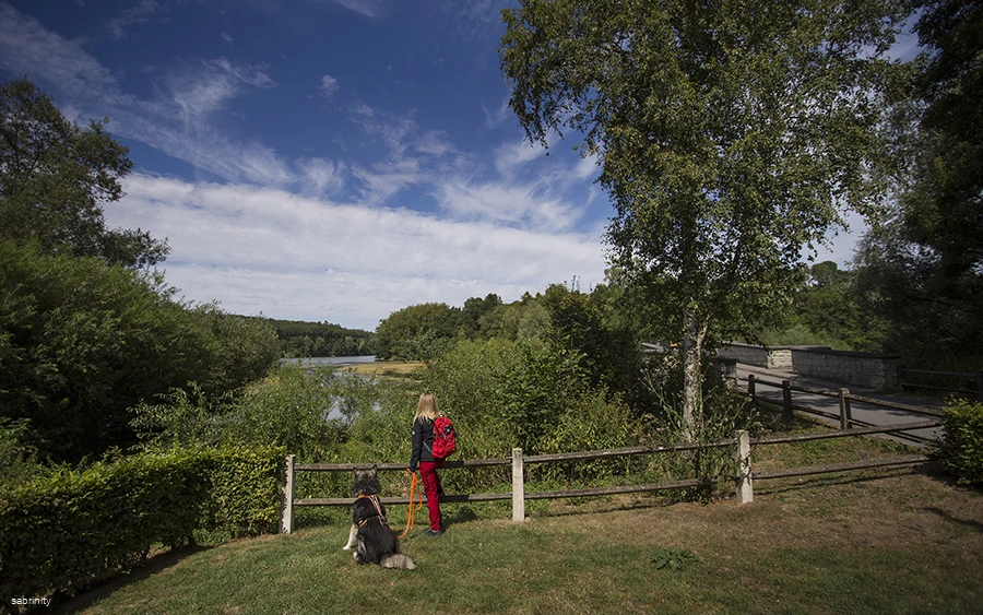Person mit Hund steht an einem Zaun und blickt auf den Möhnesee in einer grünen Landschaft.
