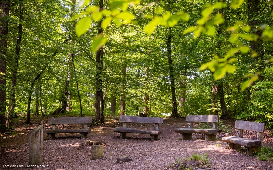 Andachtsplatz Friedwald