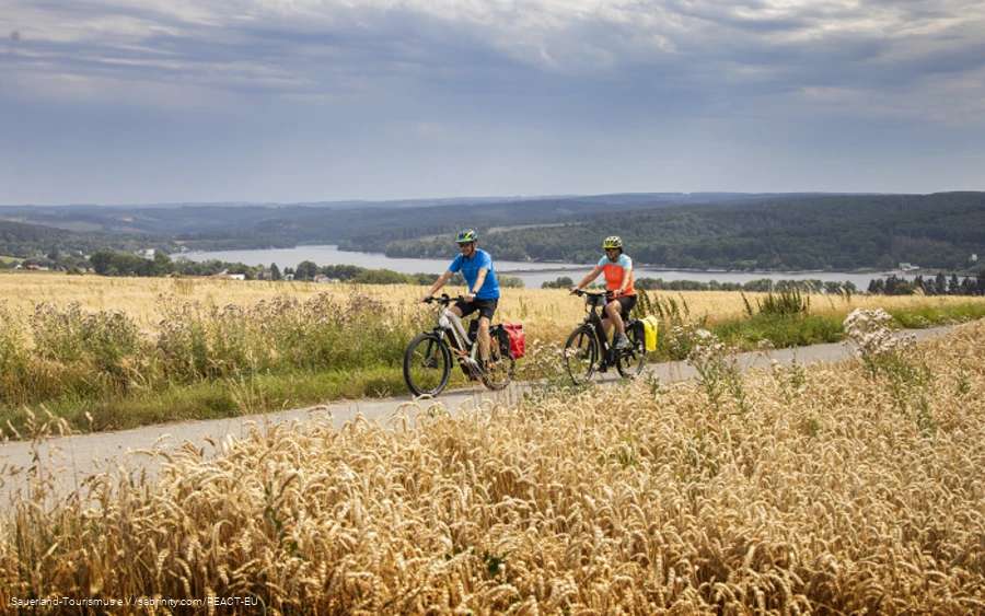 Zwei Radfahrer auf einem Weg durch Getreidefelder mit weiter Landschaft und dem Möhnesee im Hintergrund.