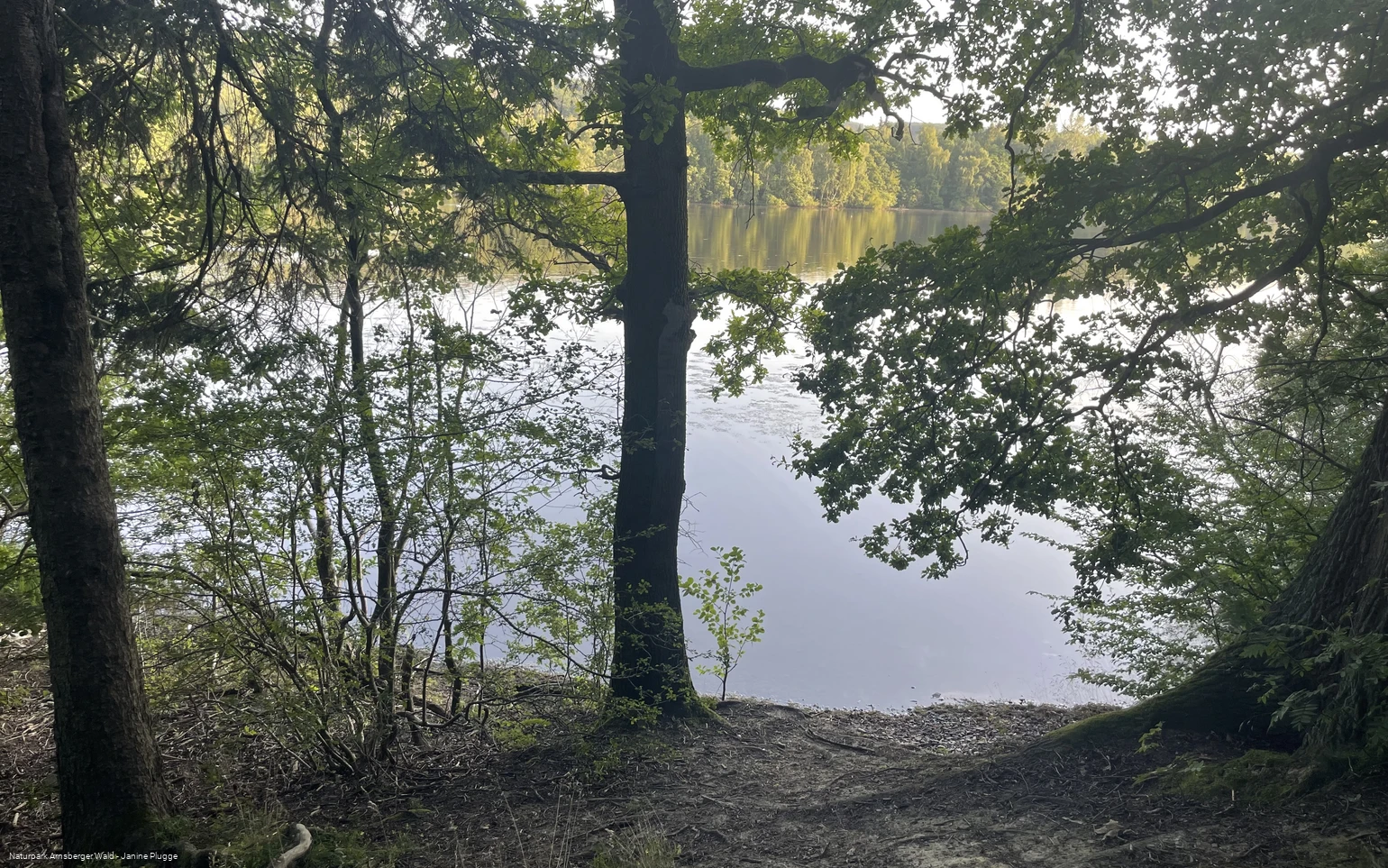 Hevesee am Möhnesee