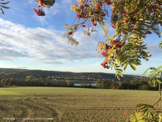 Feld Herbst Möhnesee