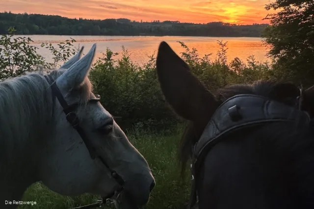Reitzwerge Sonnenuntergang.jpg