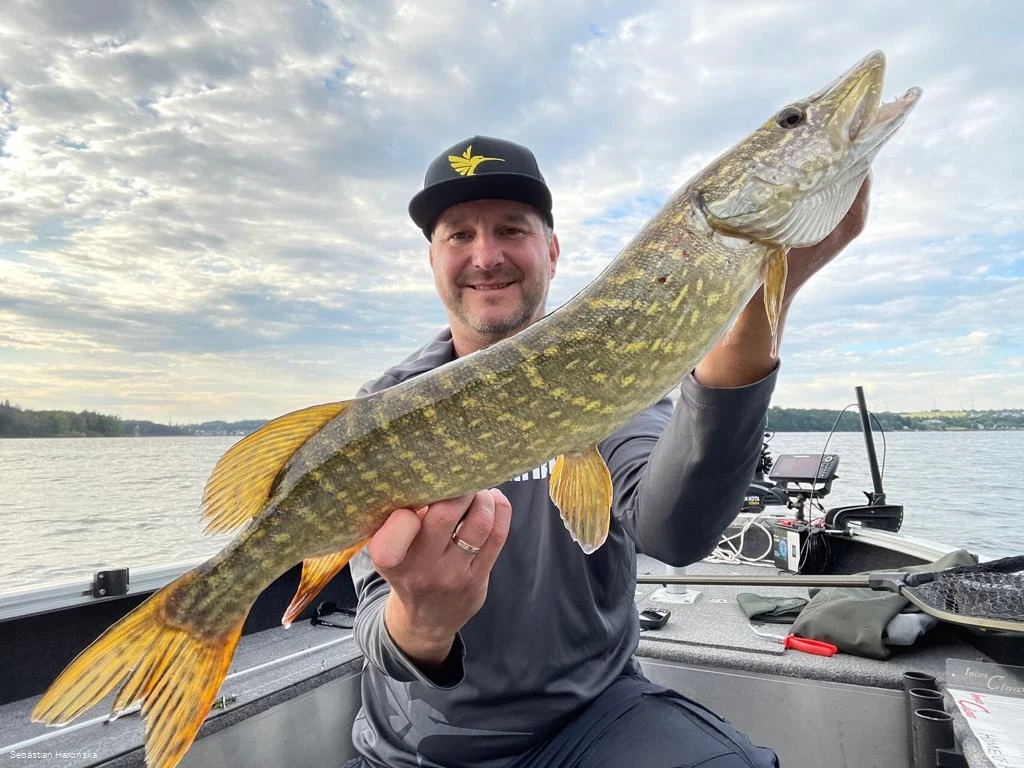 Angelbootvermietung 1 Angelbootvermietung 1