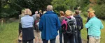Gruppe im Wald
