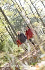 Gruppe im Wald