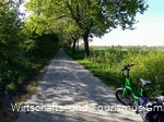 Alter Soestweg mit Obstplantagen
