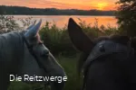Reitzwerge Sonnenuntergang.jpg