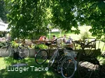 ZUM TACKEBER _BIergarten_ FOTORECHTE LUDGER TACKE.jpg